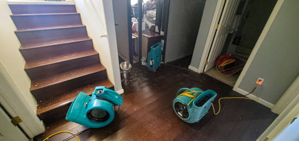 Professional Water damage restoration in CO