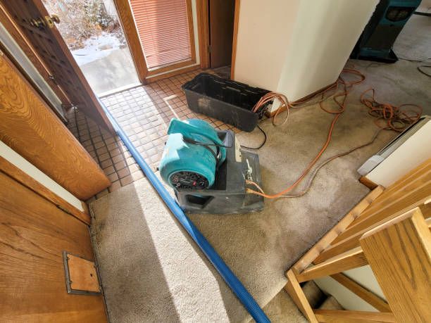 Best Professional water damage repair  in Lamar, CO