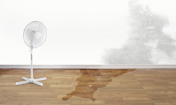 Best Residential water damage restoration  in Lamar, CO