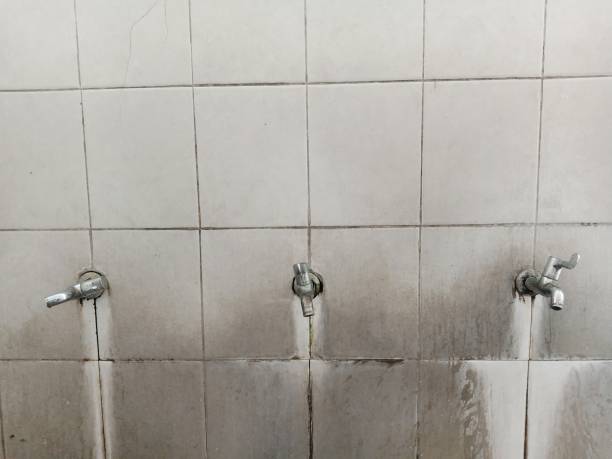 Best Carpet water damage restoration  in Lamar, CO