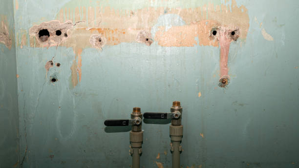 Best Emergency water damage restoration  in Lamar, CO