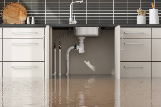 Reliable CO Water damage restoration Solutions