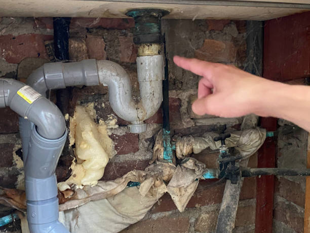 Best Water damage restoration near me  in Lamar, CO