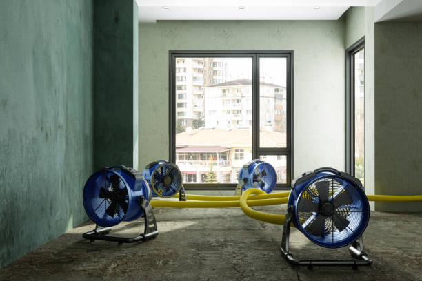 Best Flood restoration services  in Lamar, CO